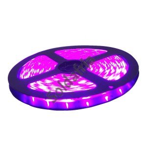 Rolo Com 5m De Fita De Led SMD 3528 A Prova D'agua Rosa IP65