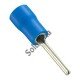 Terminal Tipo Pino PTV-2-12 Azul Isolado 16/14 AWG